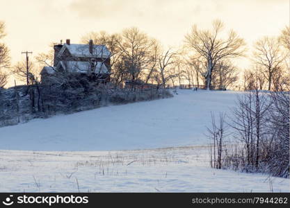 Winter landscape. White winter wonderland landscape