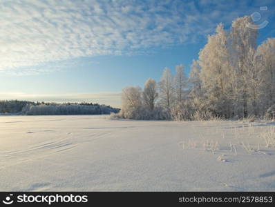 Winter landscape.Winter beauty scene