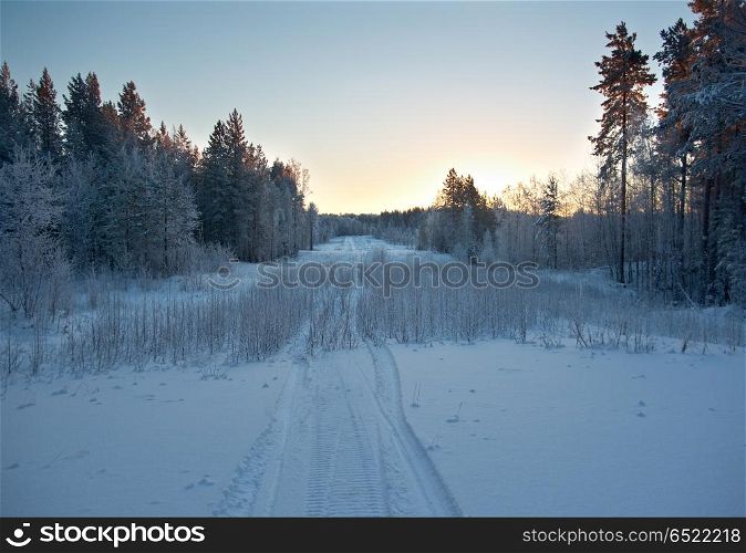 Winter landscape.Winter scene