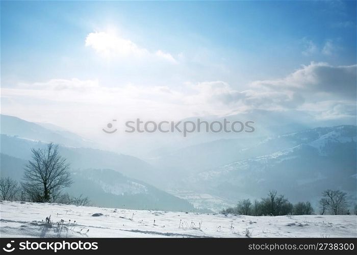 winter landscape with a clouds and a snow-covered trees
