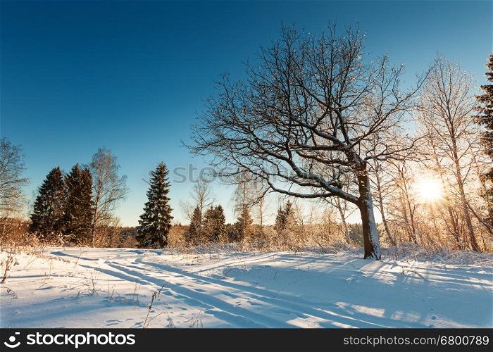 Winter landscape with a road and a nearby wood at sunset