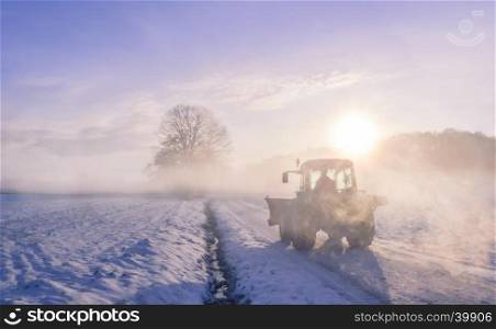 Winter landscape with a scene from the rural life, warmed up by a splendid sunrise and wrapped in a coat of mist. At the first hours of the morning, a farmer starts its work day on a frosted field, disturbing the silence of the numbed nature with its tractor.