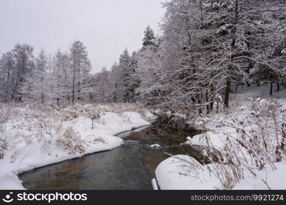 Winter landscape with a small forest river on a cloudy day, Russia.