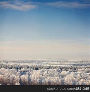 winter landscape with blue sky