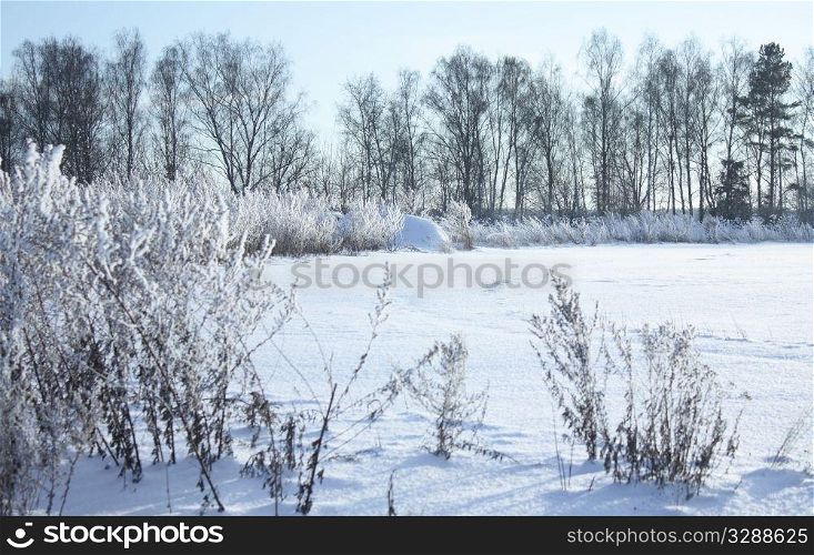 Winter landscape with blue sky and sunlight. winter landscape