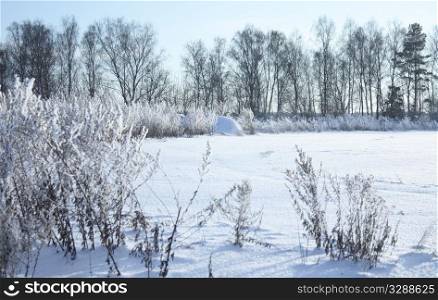 Winter landscape with blue sky and sunlight. winter landscape