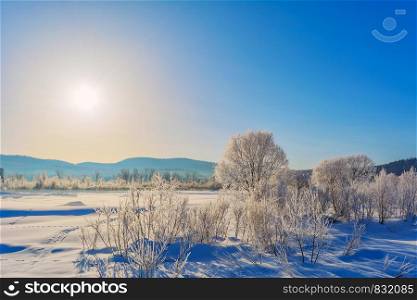 Winter landscape with blue sky, white frozen trees and animal trails tracks on the snow