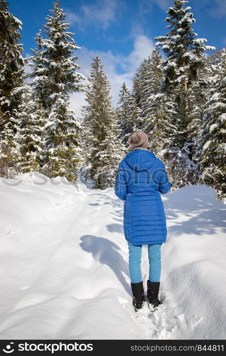 Winter landscape with footpath, snow trees and blue sky