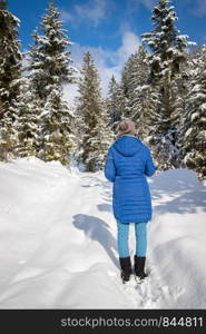 Winter landscape with footpath, snow trees and blue sky