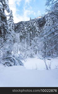 Winter landscape with footpath, snowy trees and blue sky