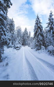 Winter landscape with footpath, snowy trees and blue sky