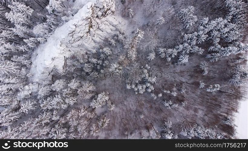 Winter landscape with forest and snow from above from a drone.