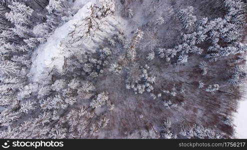 Winter landscape with forest and snow from above from a drone.