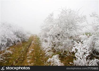 Winter landscape with freezing temperatures