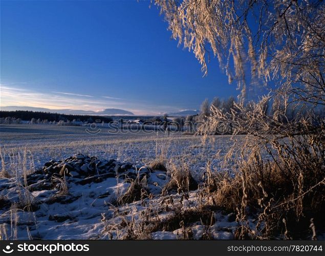 Winter landscape with frost trees and blue sky