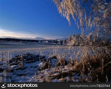 Winter landscape with frost trees and blue sky