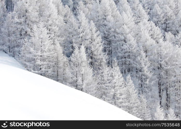 Winter landscape with mountain forest of snow covered trees. Winter landscape with forest