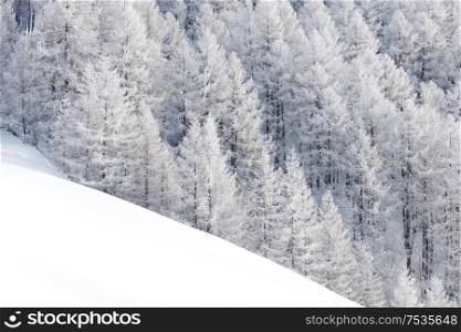 Winter landscape with mountain forest of snow covered trees. Winter landscape with forest