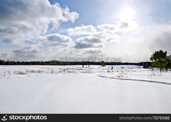 Winter landscape with snow-covered field, individual trees, forest, blue sky, sun and clouds