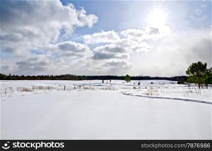 Winter landscape with snow-covered field, individual trees, forest, blue sky, sun and clouds