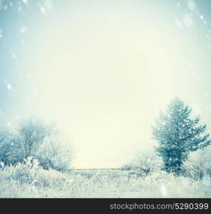 Winter landscape with snow covered trees and field at sky background