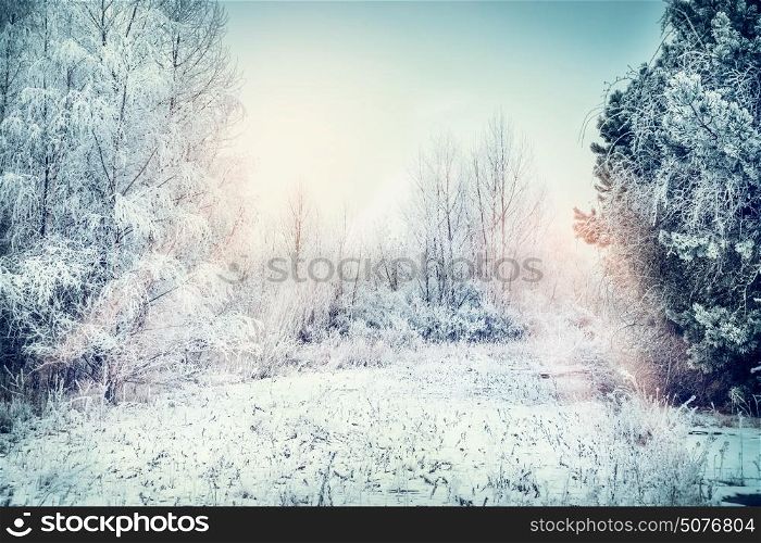 Winter landscape with snow, field , trees and frozen grasses
