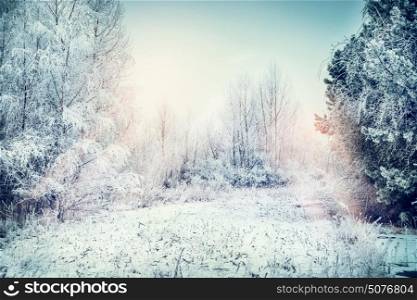 Winter landscape with snow, field , trees and frozen grasses