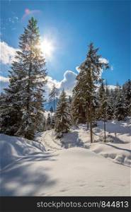 Winter landscape with snow trees and blue sky