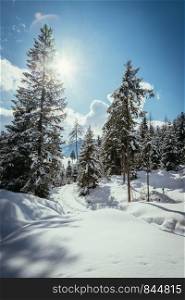 Winter landscape with snow trees and blue sky