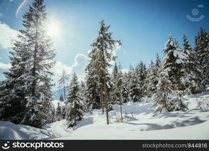 Winter landscape with snow trees and blue sky