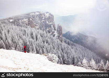 winter landscape with snowy fir trees in the mountains