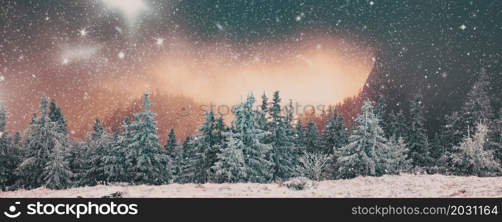 winter landscape with snowy fir trees in the mountains