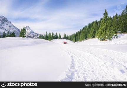 Winter landscape with the snowy peaks of the Alps mountains, the green fir forests and a road formed by the tracks of a snow machine, in Ehrwald, Austria