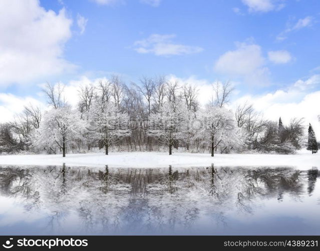 Winter Landscape With Trees And Lake