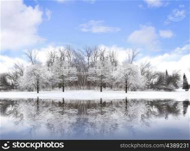 Winter Landscape With Trees And Lake