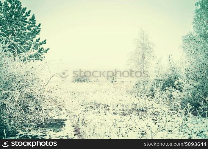 Winter landscape with trees covered with hoarfrost and snow at winter day background