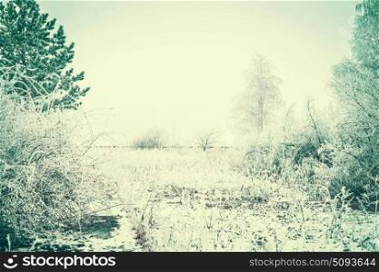 Winter landscape with trees covered with hoarfrost and snow at winter day background
