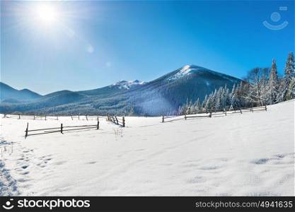 Winter landscape with white snow on the field with fence, blue sky and shining sun