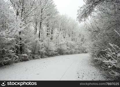 winter lane