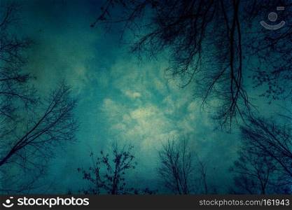 Winter leafless birch tree branches over sky, textured paper background.