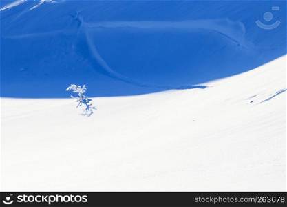 Winter mini macro of snow, white snow with blue shadow effect, beautiful view landscape. North of Russia during winter snowy time. Nature beauty in picturesque scenery as cover background. snow, winter, landscape, cold, no person,abstract, air, art, background, base, basic, black, blue, winter, cold, concept, cover, curves, curvy, dark, design, floor, foam, frost, geometry, ground, ice,