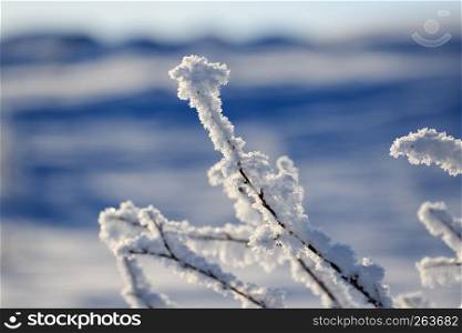 Winter mini macro of snow, white snow with blue shadow effect, beautiful view landscape. North of Russia during winter snowy time. Nature beauty in picturesque scenery as cover background