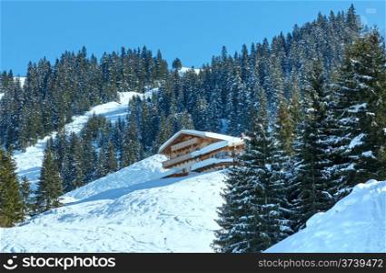 Winter misty mountain landscape and wood house on hill (Austria)