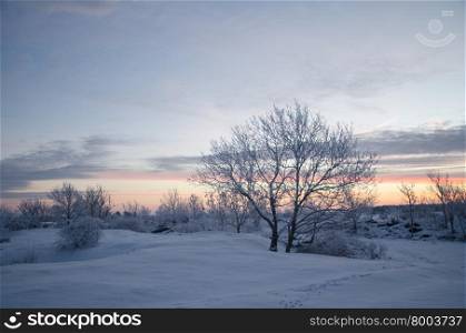 Winter morning before sunrise at a great plain area at the swedish island Oland
