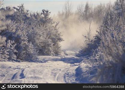 Winter Morning in Belarus. January near Minsk.. Winter Morning in Belarus.