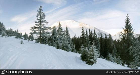 Winter morning mountain landscape with cirrus clouds and view on Petros Mountain (Ukraine, Carpathian Mt&rsquo;s)