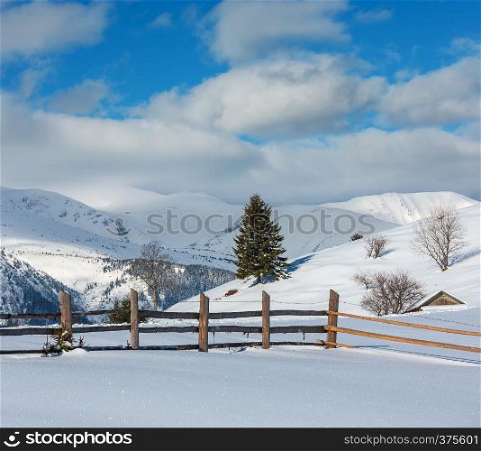 Winter morning scenery picturesque mountain hill top with farmstead snow covered (Ukraine, Carpathian Mountains, tranquility peaceful Dzembronya village rural outskirts)