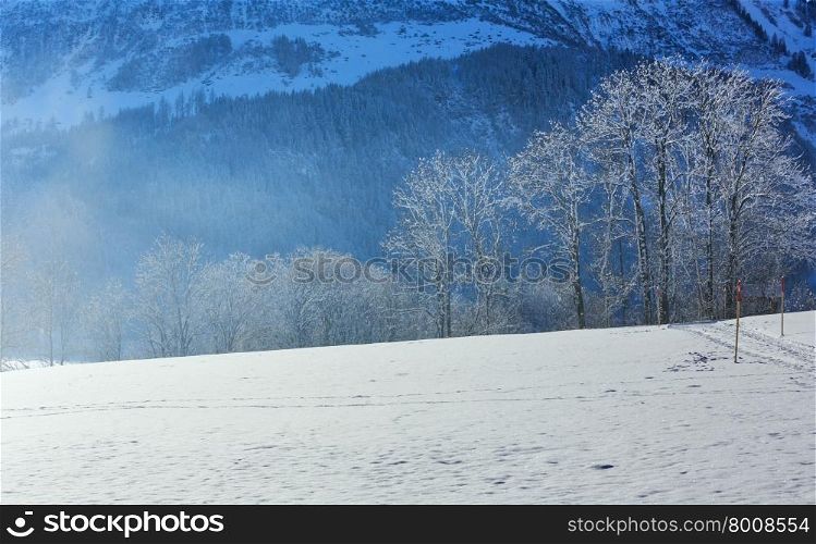 Winter mountain country landscape with light snowfall and sparkle of snow. There is some sun flare effect.
