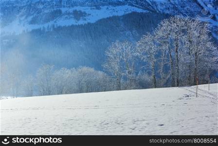 Winter mountain country landscape with light snowfall and sparkle of snow. There is some sun flare effect.