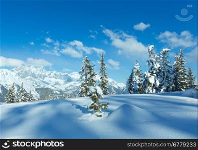 Winter mountain fir forest snowy landscape (top of Papageno bahn - Filzmoos, Austria)